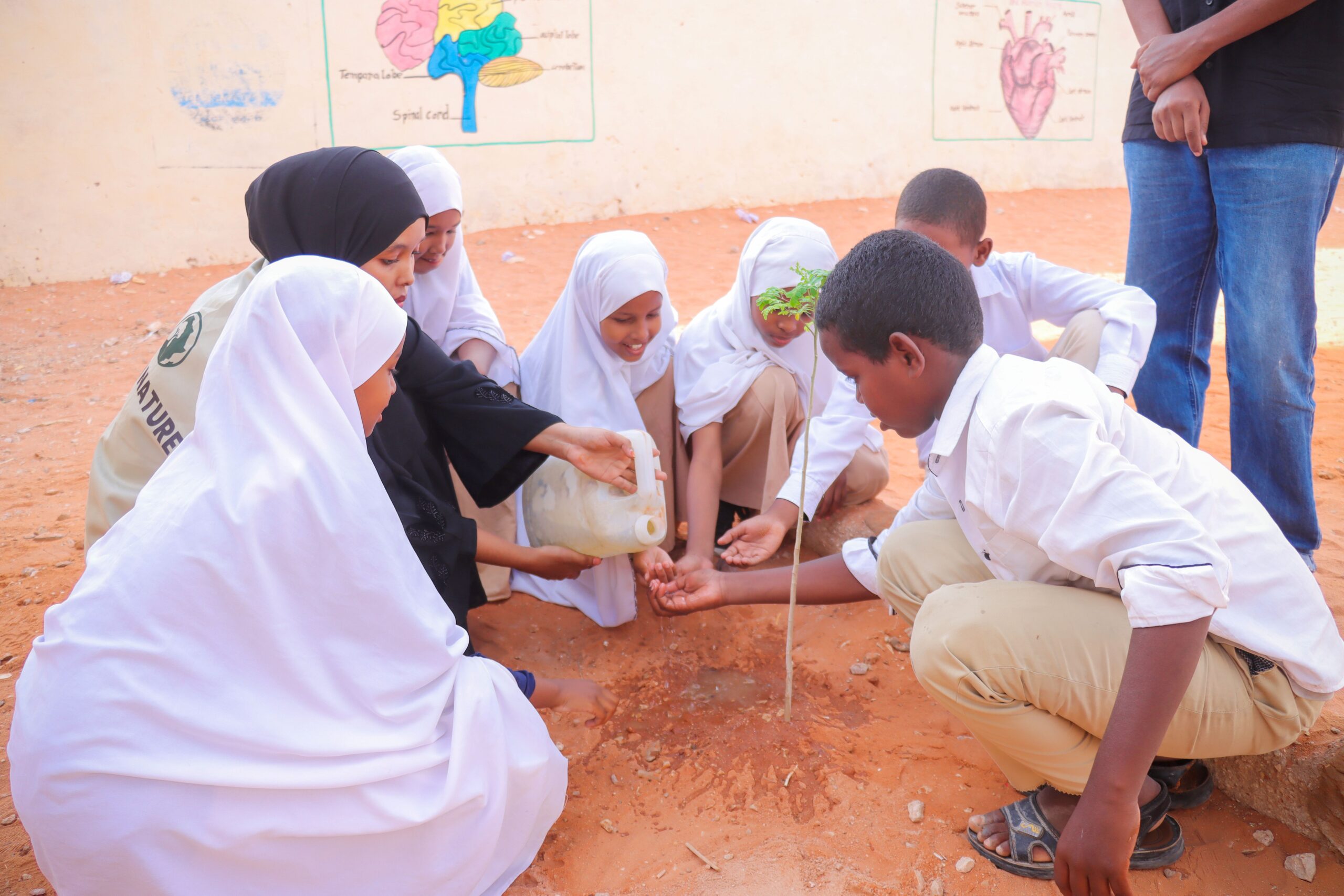 Youth Green Leaders Programme