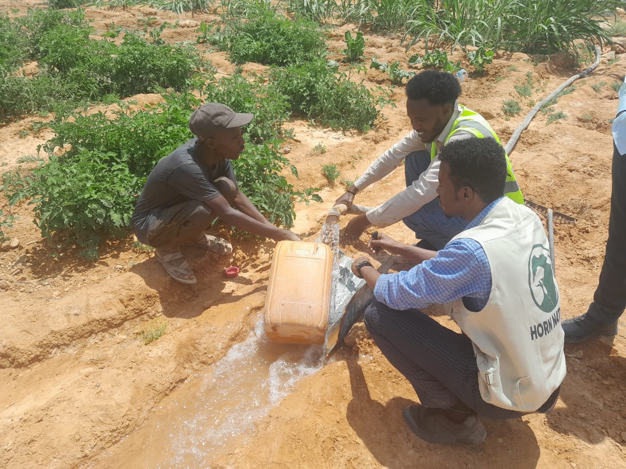 Water and Land Management