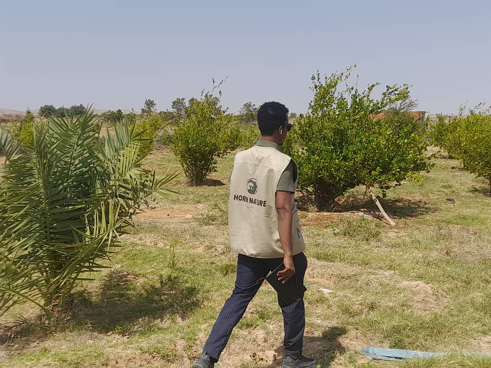 Sustainable Livelihoods
