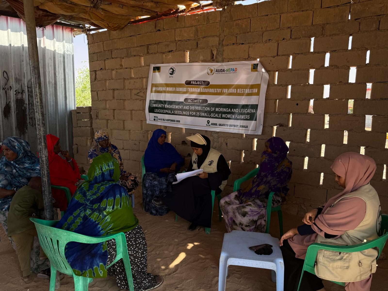 Horn Nature Conservation Distributes 500 Agroforestry Seedlings to Women Farmers in Galkacyo to Advance Landscape Restoration