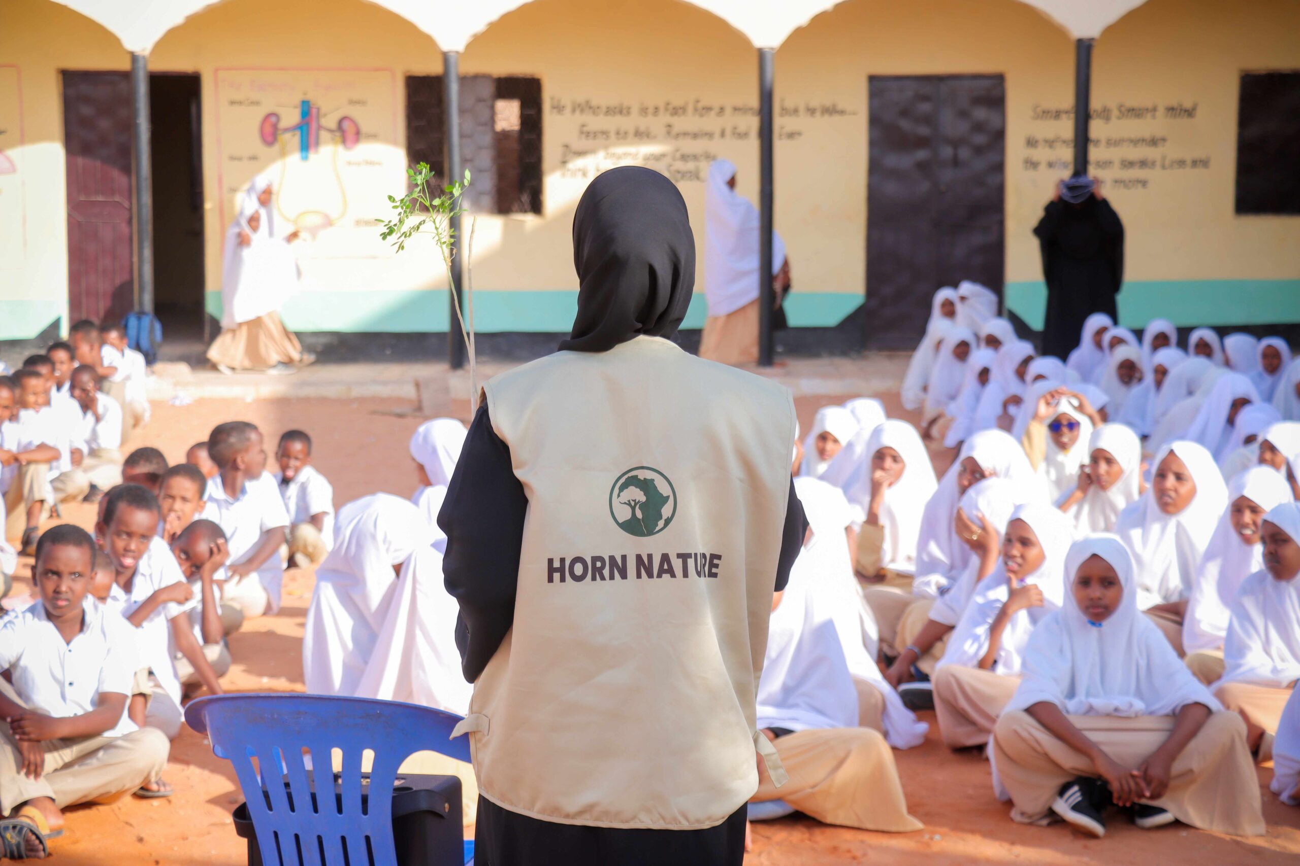 654 Hectares of Mangroves Restored Along the Puntland Coast
