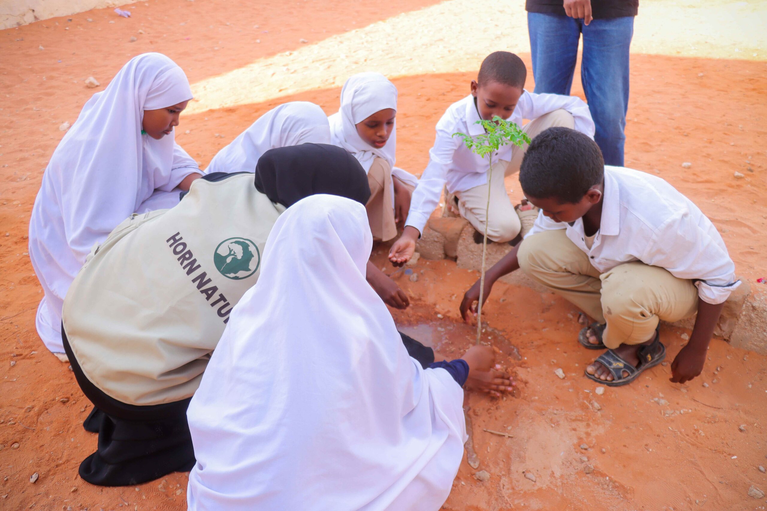 436 Farmers Embrace Climate-Smart Agriculture in Mudug Region