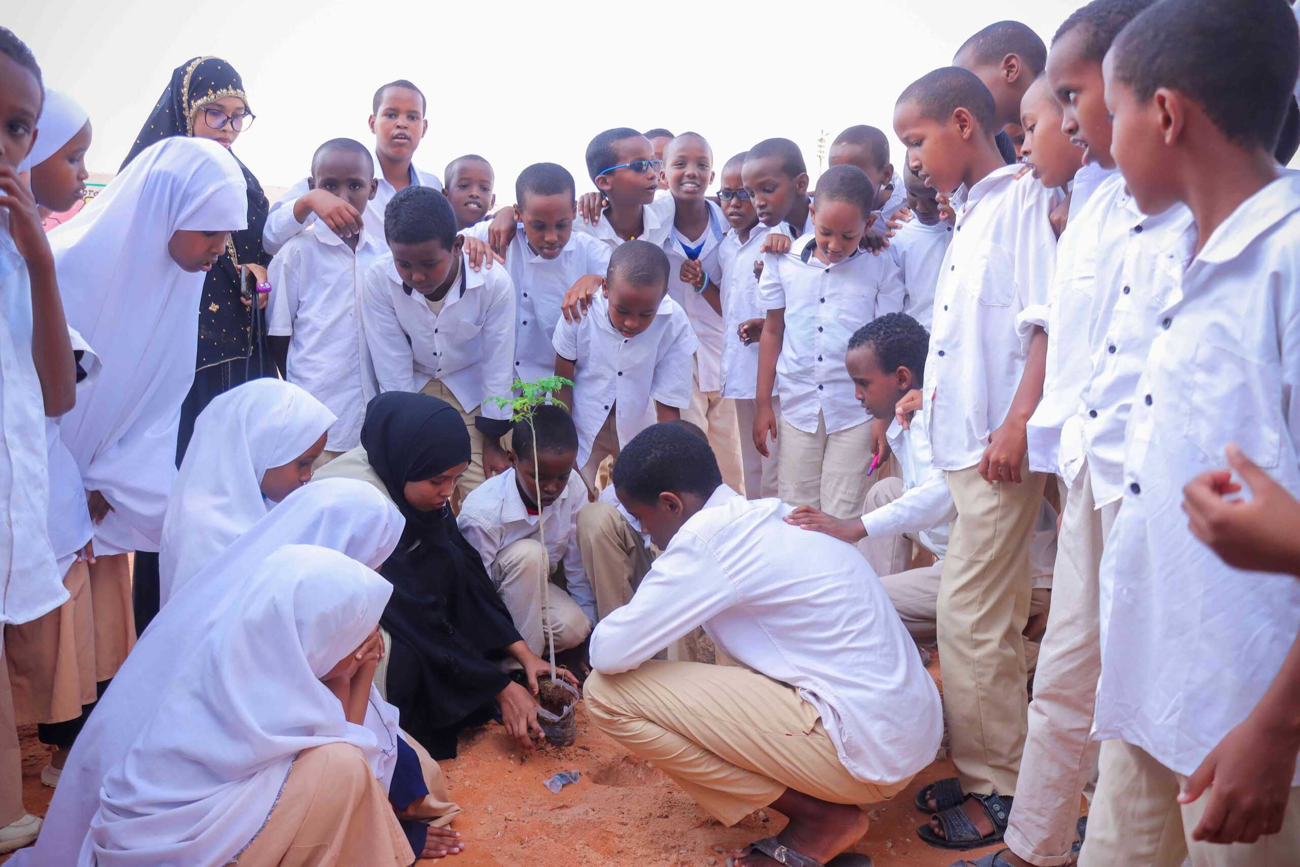HNC Engages 750,000 Individuals in Environmental Awareness Campaigns